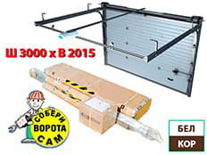 Doorhan RSD-01S 3000х2015 мм (бел, кор)
